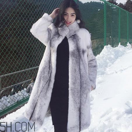 十字貂什么顏色最貴？十字貂價格