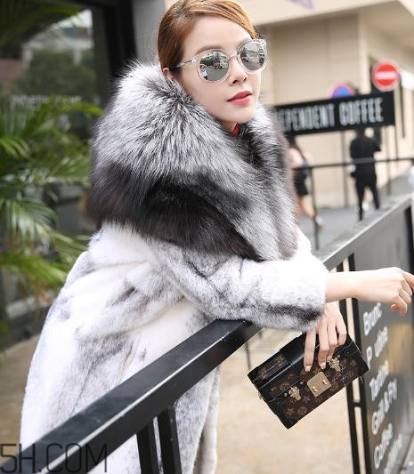 丹麥貂好還是美國貂好？丹麥貂和美國貂的區(qū)別