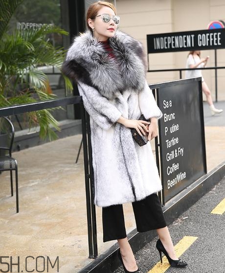 丹麥貂好還是美國貂好？丹麥貂和美國貂的區(qū)別