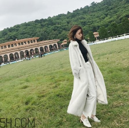 整貂皮大衣一般多少錢(qián)？整貂皮大衣價(jià)格