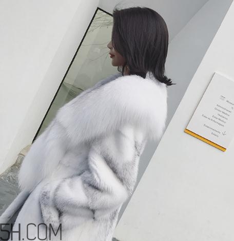 整貂好還是拼貂好？整貂和拼貂的差別