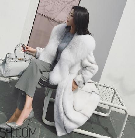 整貂好還是拼貂好？整貂和拼貂的差別