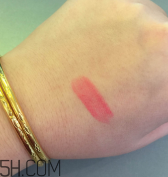 雅詩(shī)蘭黛唇膏大表姐色是什么色？適合黃皮嗎？