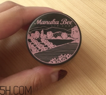 2018年唇部磨砂膏哪個牌子好？2018唇部磨砂膏推薦