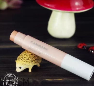 2018年唇部遮瑕膏哪個牌子好？2018唇部遮瑕膏排行榜前十強