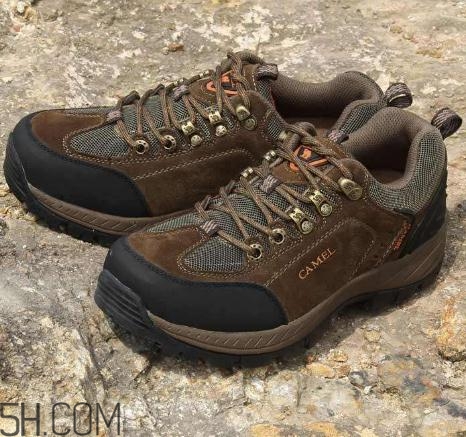 駱駝是什么牌子？駱駝是什么檔次？