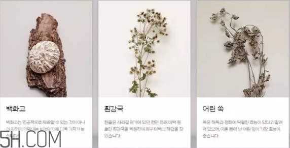 韓律護膚品怎么樣？韓律全系列介紹