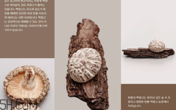 韓律護膚品怎么樣？韓律全系列介紹