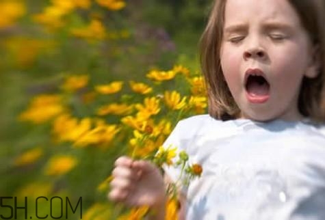 春季吃什么能防過敏？春季預(yù)防過敏的食物有哪些？