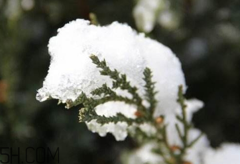 2018年倒春寒是什么時(shí)候 2018年倒春寒會(huì)持續(xù)多久 2018年倒春寒是什么時(shí)候 2018年倒春寒會(huì)持續(xù)多久