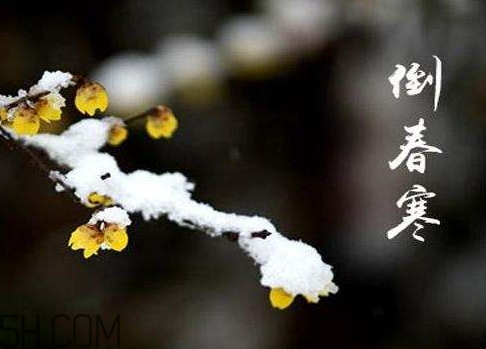 2018年倒春寒是什么時(shí)候 2018年倒春寒會(huì)持續(xù)多久 2018年倒春寒是什么時(shí)候 2018年倒春寒會(huì)持續(xù)多久