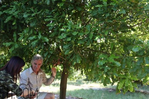 果本是國產(chǎn)牌子嗎？果本和詩婷露雅什么關(guān)系？