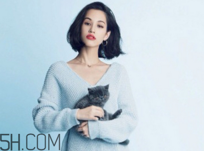 雪花秀和蘭芝哪個好用？雪花秀在韓國屬于什么檔次？