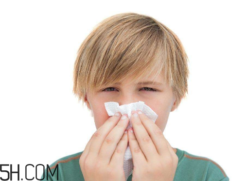 哪些藥品含有馬來(lái)酸氯苯那敏原料藥制劑？