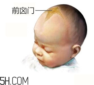 寶寶囟門是怎樣的一個部位？寶寶的囟門要怎樣保護比較好？