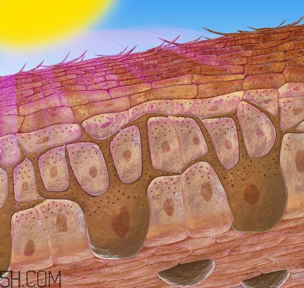 經(jīng)期小腹墜脹怎么辦？經(jīng)期小腹墜脹怎么回事？
