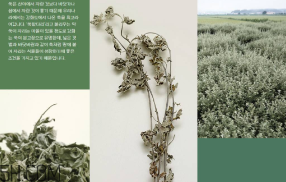 韓律護膚品怎么樣？韓律全系列介紹