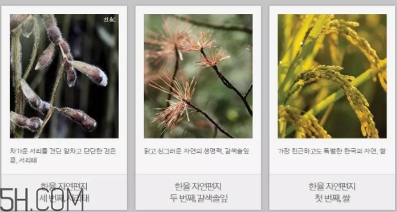 韓律護膚品怎么樣？韓律全系列介紹