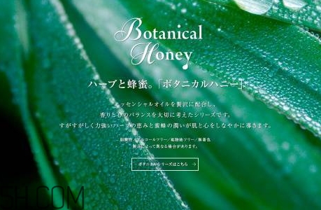 vecua是什么牌子？vecua honey是哪國的什么檔次