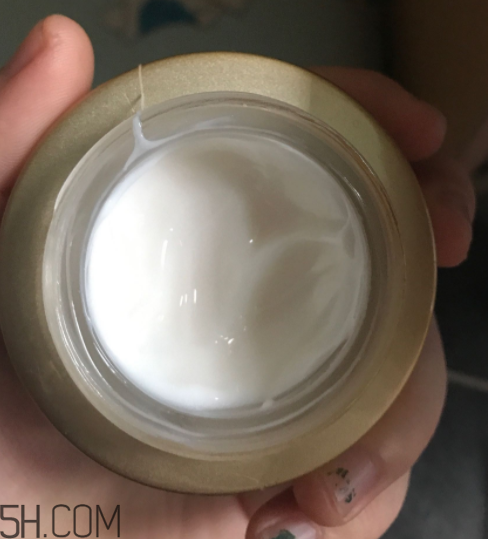 詩婷露雅蝸牛面霜適合秋冬嗎？適合油皮嗎？