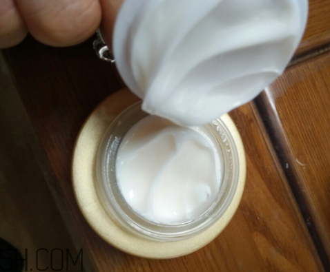 詩婷露雅蝸牛面霜適合秋冬嗎？適合油皮嗎？