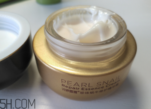 詩婷露雅蝸牛面霜適合秋冬嗎？適合油皮嗎？