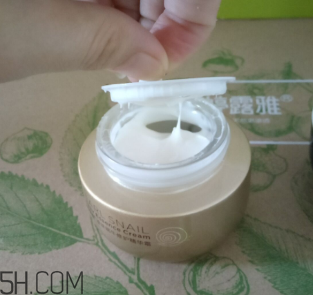 詩婷露雅蝸牛面霜適合秋冬嗎？適合油皮嗎？