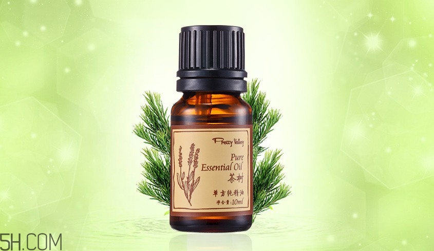 茶樹精油可以直接涂在臉上嗎？茶樹精油的功效與作用？