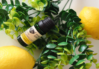 檸檬精油的功效有哪些？檸檬精油有什么功效？