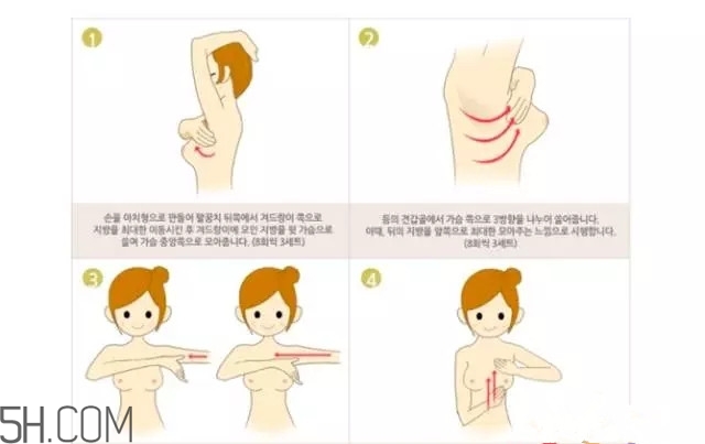 常見的豐胸湯有哪些？女人豐胸湯有哪些？