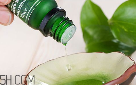 茶樹精油可以直接涂在臉上嗎？茶樹精油的功效與作用？