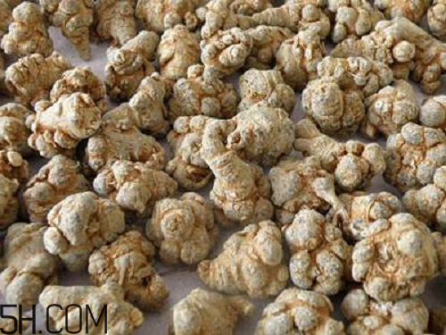 三七粉苦的好還是不苦的好？三七粉越苦越好嗎？