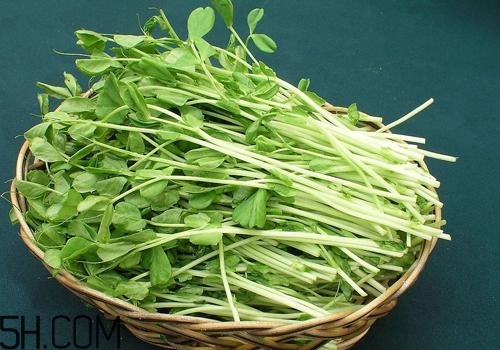 女性吃什么能瘦臉？能瘦臉的食物有哪些？