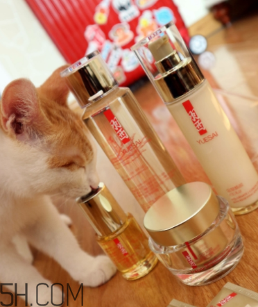 羽西蟲草新肌水有什么功效？適合什么膚質(zhì)？