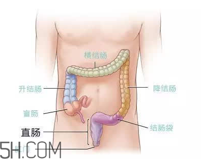 宿便有什么危害？如何清除宿便？