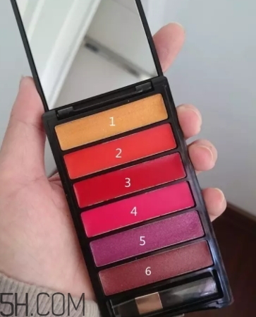 口紅盤和口紅哪個更好？口紅盤和口紅區(qū)別