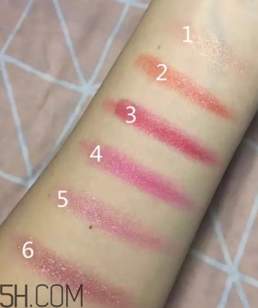 口紅盤和口紅哪個更好？口紅盤和口紅區(qū)別