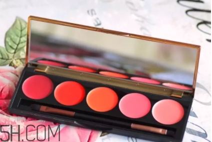 2018年口紅盤哪個牌子好？2018口紅盤排行榜前十強