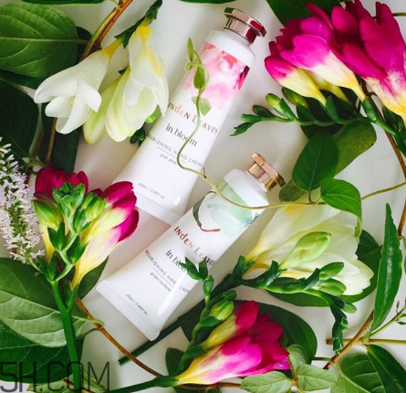 linden leaves香氛護手霜好用嗎？laura ashley護手霜好用嗎？