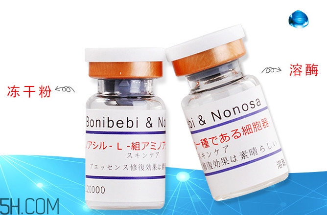 凍干粉需要放冰箱嗎 凍干粉保質(zhì)期多久 凍干粉需要放冰箱嗎 凍干粉保質(zhì)期多久