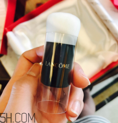 蘭蔻菁純氣墊粉底液110號色適合黃皮嗎？真人試色