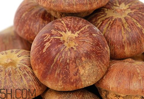 風(fēng)流果是否去殼泡水喝 壯陽果要去外殼嗎 風(fēng)流果是否去殼泡水喝 壯陽果要去外殼嗎