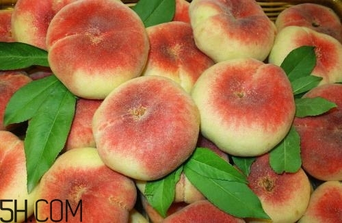 蟠桃貴嗎？蟠桃與那些食物不能一起吃？