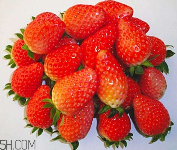 草莓空心好還是實心好？草莓中間空心是為什么？