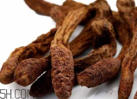 鎖陽(yáng)發(fā)霉了還能用嗎 鎖陽(yáng)長(zhǎng)毛了還可以吃嗎 鎖陽(yáng)發(fā)霉了還能用嗎 鎖陽(yáng)長(zhǎng)毛了還可以吃嗎