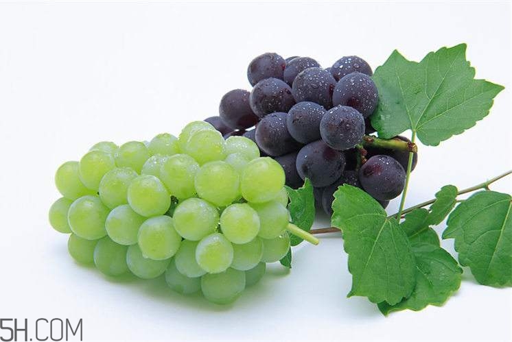 哪些水果有滋陰效果？有滋陰效果的水果有哪些？