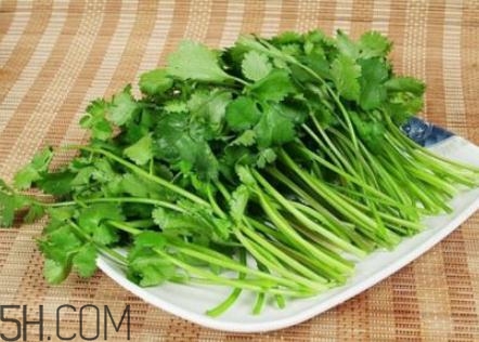 香菜根煮水怎么煮？香菜根煮水喝幾天見效？