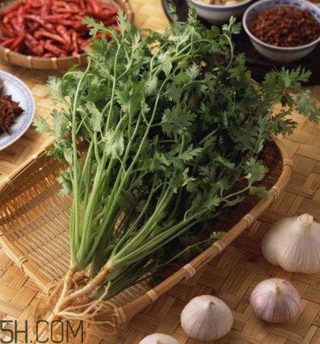 香菜根煮水能減肥嗎？香菜根煮水能天天喝嗎？