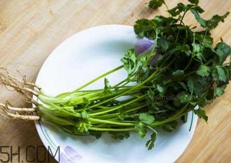 香菜根煮水能減肥嗎？香菜根煮水能天天喝嗎？