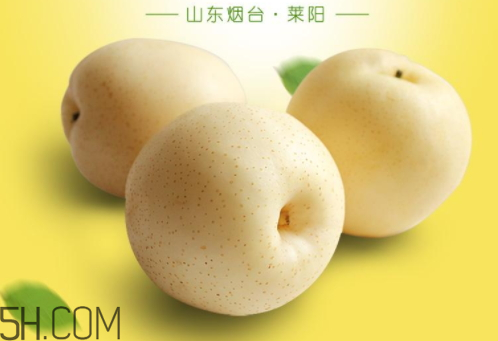 皇冠梨怎么儲(chǔ)存 皇冠梨能放多久 皇冠梨怎么儲(chǔ)存 皇冠梨能放多久